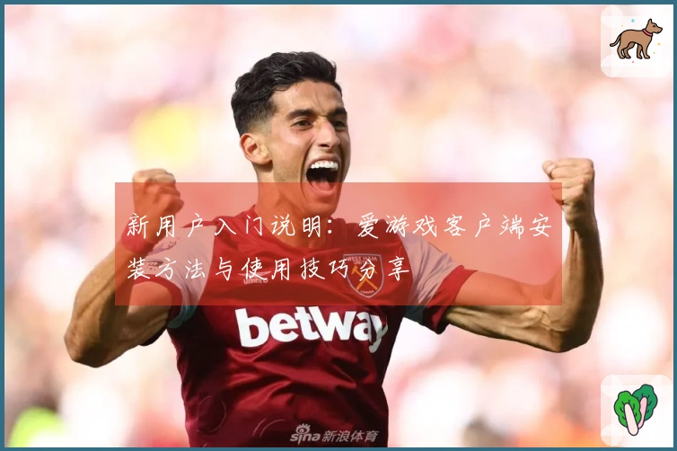 新用户入门说明：爱游戏客户端安装方法与使用技巧分享