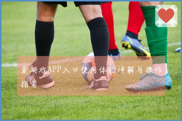 爱游戏APP入口使用体验详解与操作指南
