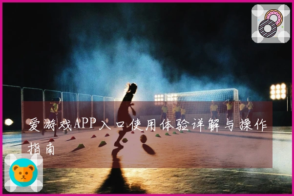爱游戏APP入口使用体验详解与操作指南