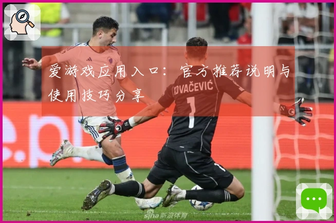 爱游戏应用入口：官方推荐说明与使用技巧分享